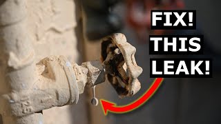 How To Fix Leaking Shut Off Valve FAST DIY  Avoid Plumber in 2023 [upl. by Marinna]