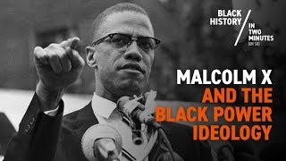 Malcolm X  How Did He Inspire a Movement [upl. by Peirsen]