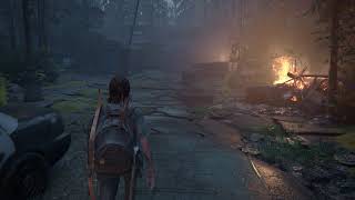 The Last of Us Part II  Infected amp Seraphites  Max Motion Blur  Hard Mode PS4 Pro4K [upl. by Fendig29]