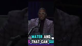 Mase Ready to Donate to Hurricane Victims iiwii funny mase talkyoishtv [upl. by Yokoyama239]