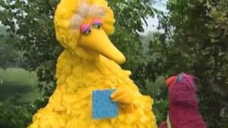 Classic Sesame Street Big Bird And Telly Monster Talk About Triangles [upl. by Siri]