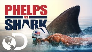 Phelps vs Shark ¿Quién ganará  Shark Week  Discovery Latinoamérica [upl. by Kiyoshi]