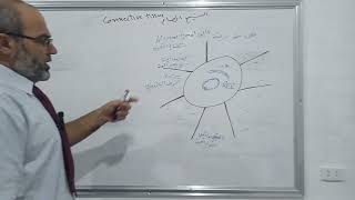 الخلايا المتوسطية Mesenchymal cells [upl. by Alim]