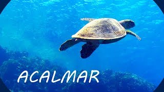 Música Relaxante e Fundo do Mar 🎵 Acalmar a Mente [upl. by Jeremy390]