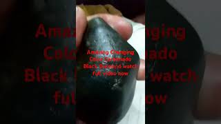 CARBONADO BLACK DIAMOND fyp shortvideo gmanetwork PugongByaheroabscbnentertainment [upl. by Mixie]