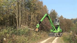 SENNEBOGEN  Holzernte 718 Holzmaschine mit Axer Schneidkopf Regensburg [upl. by Merla]