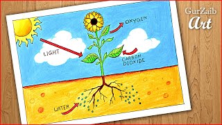 How to draw photosynthesis process of plants diagram drawing  easy labeled science project [upl. by Dame]