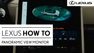 How To de Panoramic View Monitor PVM gebruiken LBX [upl. by Aeslek]