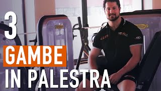 Allenamento GAMBE e COSCE per aumentare la MASSA MUSCOLARE [upl. by Adrian]