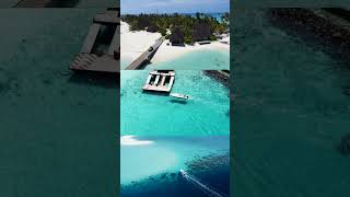 Fushifaru MALDIVES from the sky maldives maldivas drone travel shorts [upl. by Damicke942]