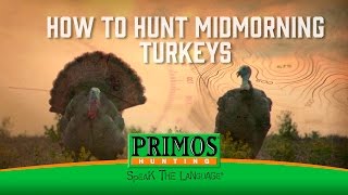 How to Hunt MidMorning Turkeys [upl. by Keenan]