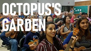 Octopuss Garden Beatles cover Austin Ukulele Society [upl. by Alenairam]