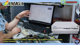 Riparazione Amiga3000 utente Francesco [upl. by Ecinhoj819]