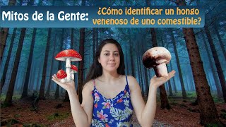 Mitos de la Gente ¿Cómo identificar un hongo venenoso de uno comestible  Cnidaria Mx [upl. by Wrennie288]