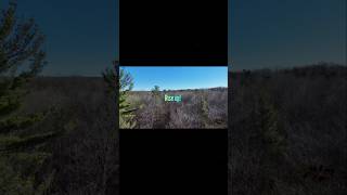 Rise up dji air3 drone forest nature birdseyeview aerial aerialview aerialphotography [upl. by Gabe]