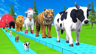 Paint amp Animals CowGorillaElephantGiraffeTigerLion Fountain Crossing Transformation Cartoon [upl. by Nahtanod]