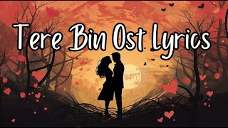 Tere Bin  OST Lyrics  ft Yumna Zaidi Wahaj Ali  Shani Arshad  Har Pal Geo [upl. by Hebel432]