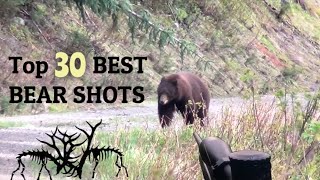 TOP 30 BEST BEAR HUNTING KILL SHOTS [upl. by Juanne633]