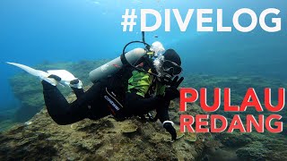 DIVELOG Pulau Redang  Coral Redang Island Resort  Scuba Diving trip 2022 [upl. by Korb525]