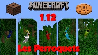 TOUT SAVOIR SUR LES PERROQUETS  Minecraft 112 [upl. by Edwina]