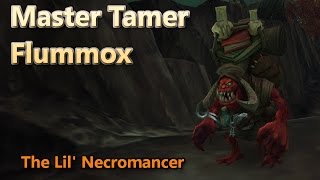 Master Tamer Flummox The Lil Necromancer Family Familiar Flummoxed [upl. by Nire]