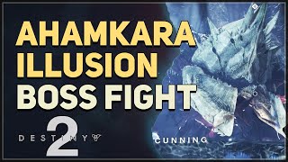 Ahamkara Illusion Destiny 2 Boss [upl. by Gamin251]