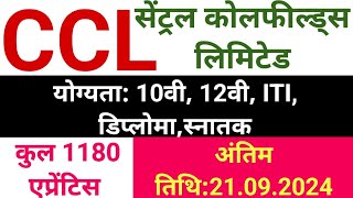 CCL नया भर्ती 2024  CCL Apprentice Vacancy 2024  How To Apply [upl. by Marylin]