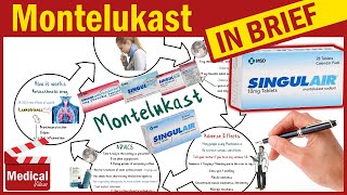 Montelukast 10 mg  Singulair  What is Montelukast Used For Dosage Side Effects amp Precautions [upl. by Atiuqihc]