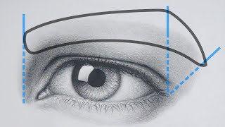 How to Draw a Realistic EYEBROW [upl. by Yrrad]