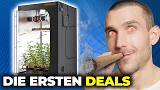 Die ersten CANNABIS Deals sind da [upl. by Asilem]