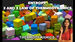 Entropy Thermodynamics [upl. by Lucina876]