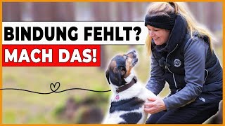 ➡️ 5 Tipps für mehr BINDUNG zum HUND auf dem Spaziergang 🐕 [upl. by Hussein932]