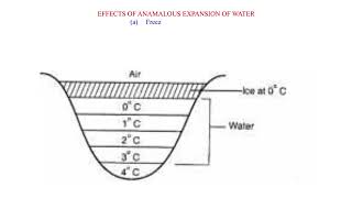 The anomalous or unusual expansion of water [upl. by Sneve]