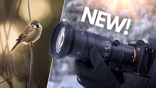 SIGMA 500mm f56 for SONY  Real World Review [upl. by Neelloc]