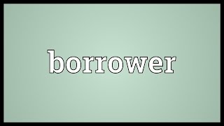 Borrower Meaning [upl. by Alatea755]