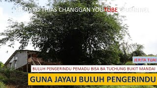 Tuju guna JAYAU BULUH PENGERINDU [upl. by Ludovika]