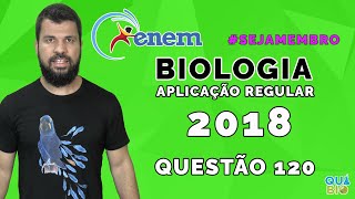 ENEM 2018  Aplicação Regular  Questão 120  O processo de formação de novas espécies é lento e rep [upl. by Ttergram591]