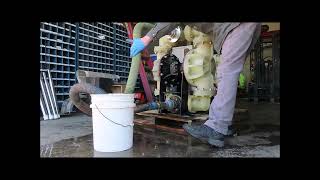 3quot Sandpiper Double Diaphragm Pump polypro 4829 [upl. by Airrotal]