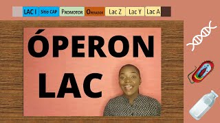 Aula 02 ÓPERON LAC🦠Explicação e ExercícioRegulação da Expressão Génica em Procariotos [upl. by Woodhouse]