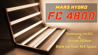 Mars Hydro New FC 4800 Led Grow Light Released 2020 Hydroponic Commercial Grow 480W 4ft×4ft [upl. by Huntlee684]