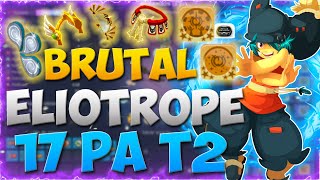 DOFUS PVP 1X1 ELIOTROPE BRUTAL 17PA T2 INSANE DAMAGE [upl. by Ariad]