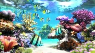 Sim Aquarium  Screensaver amp Live Wallpaper  SimAquariumcom [upl. by Airahs]