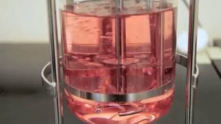 The Impact of Sparging on Cell Culture in Bioreactors – Two Minute Tuesday Video [upl. by Jena342]