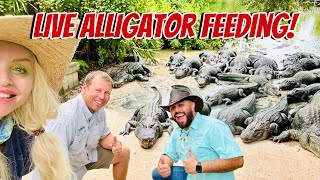 Feeding Alligators Live at Gatorland [upl. by Ozan446]