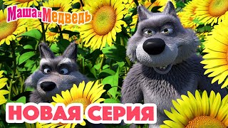 Маша и Медведь💥НОВАЯ СЕРИЯ💥Раз  картошка два  морковка🥬🧅 Коллекция мультиков для детей про Машу [upl. by Einneg]