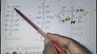 Isosorbide dinitrate synthesis Antianginal drug B Pharm Third year fifth semester New PCI syllabus [upl. by Ibok]