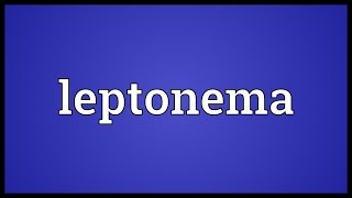 Leptonema Meaning [upl. by Arvad]