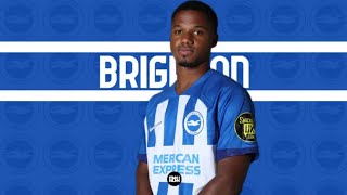 Ansu Fati Brighton Debut Highlights [upl. by Eelrahs96]