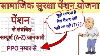 How to Check Pension Status in Rajasthan  how to Restart Stopped Pension पेंशन का स्टेटस कैसे जाने [upl. by Gnik115]