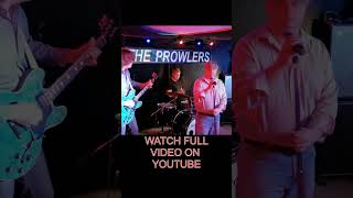 The Prowlers quotMoney Crunchquot 2nd verse guitar rock rocknroll music livemusic classicrock [upl. by Rabjohn]